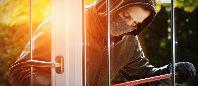 Vandalism & Theft Insurance Claims Adjuster